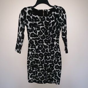 Black & White Leopard Print Dress